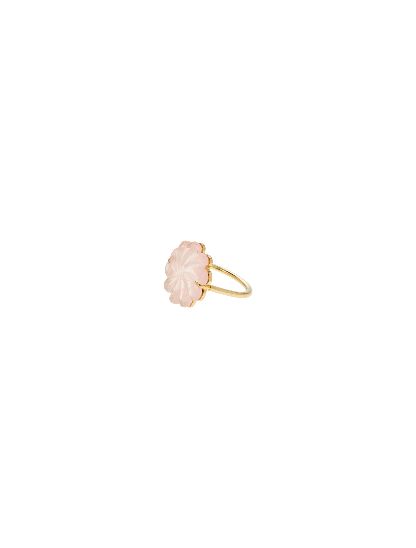 Sea Flower Rose