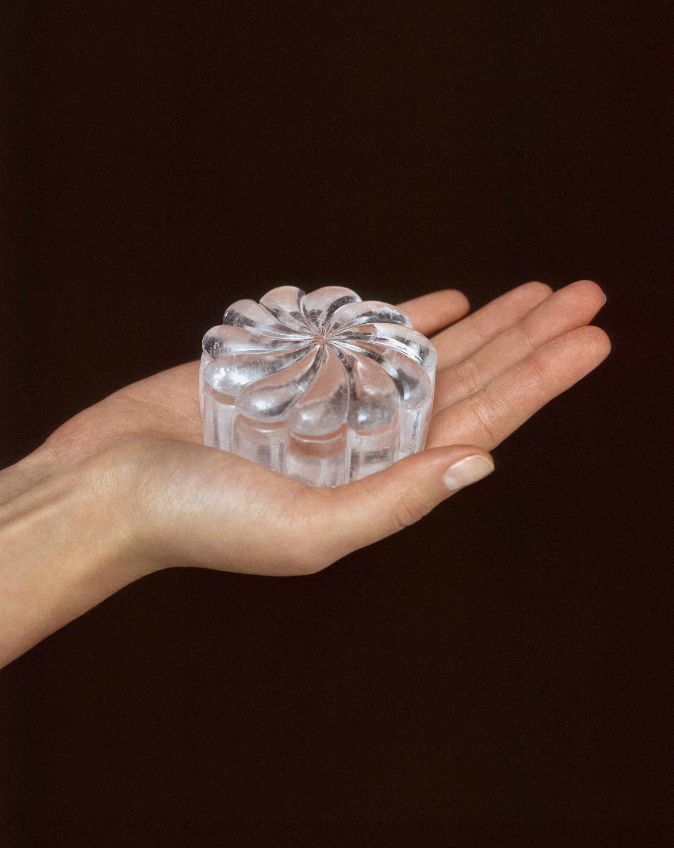 Sea Flower Pill Box