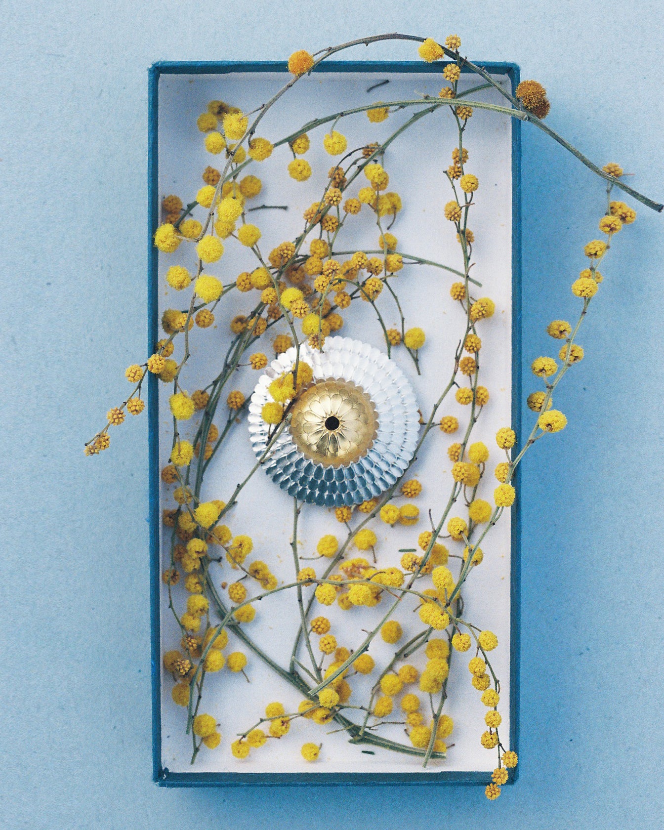 The Botanic in Silver plate